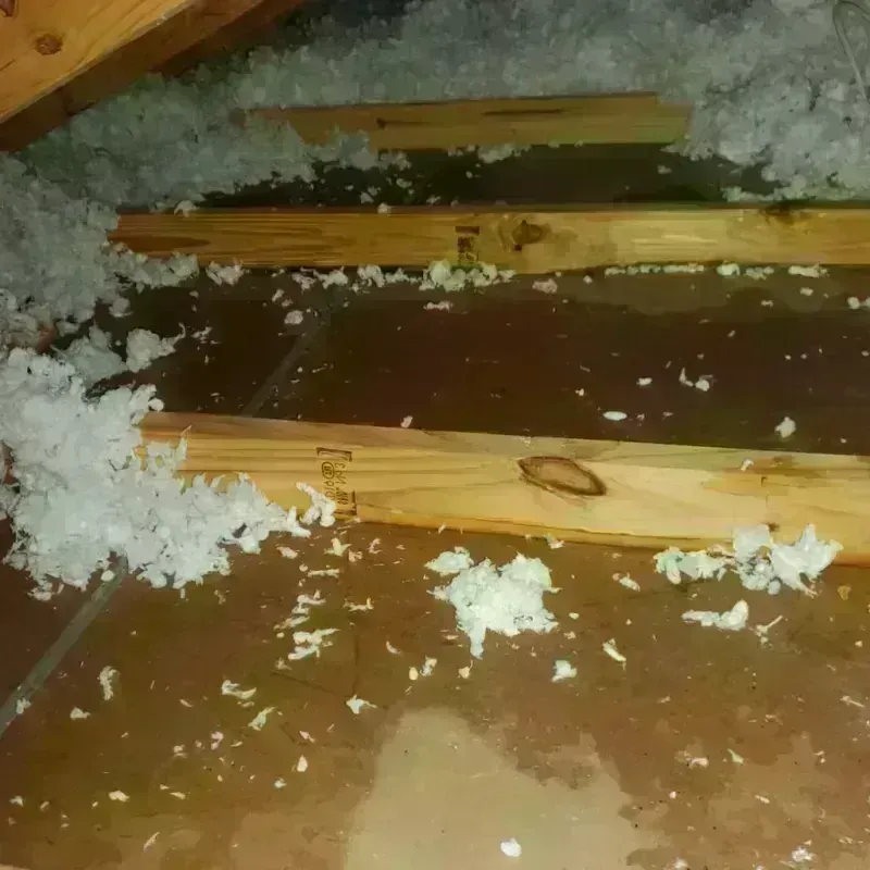 Attic Water Damage in Cherryvale, KS