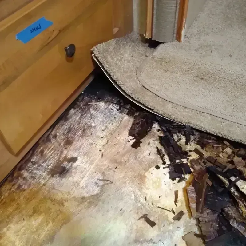 Wood Floor Water Damage in Cherryvale, KS